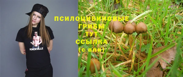 соль ск Абдулино