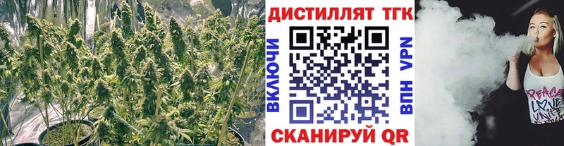 Дистиллят ТГК THC oil Алагир
