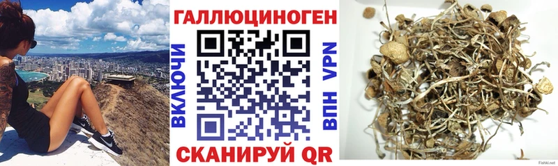 omg зеркало  Алагир  Галлюциногенные грибы Psilocybine cubensis  купить наркоту 